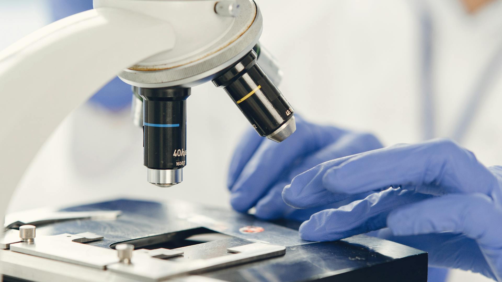 Specimen under microscope